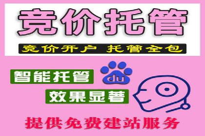 百度信息流广告的投放策略与效果对比